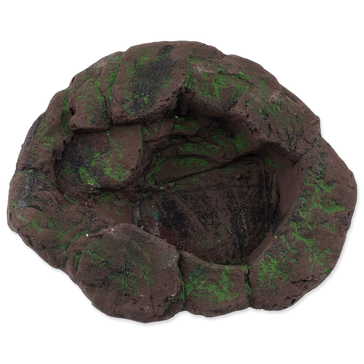 Repti Planet Terrarium Pond 23×19×4.5cm