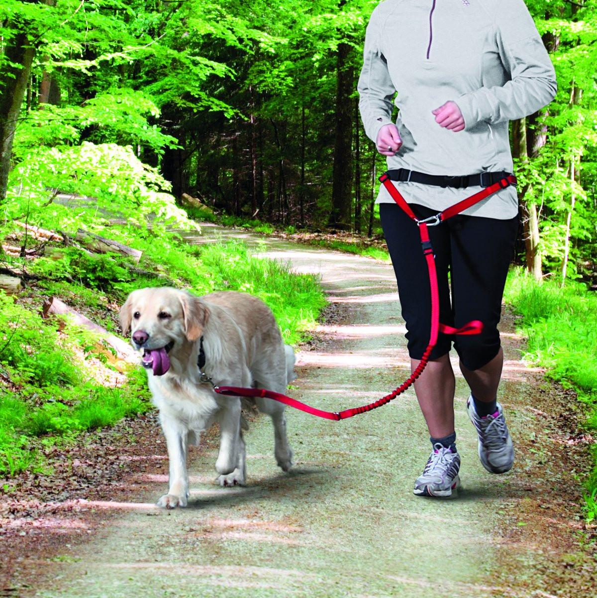 Trixie Waist belt with leash, M-L, red.