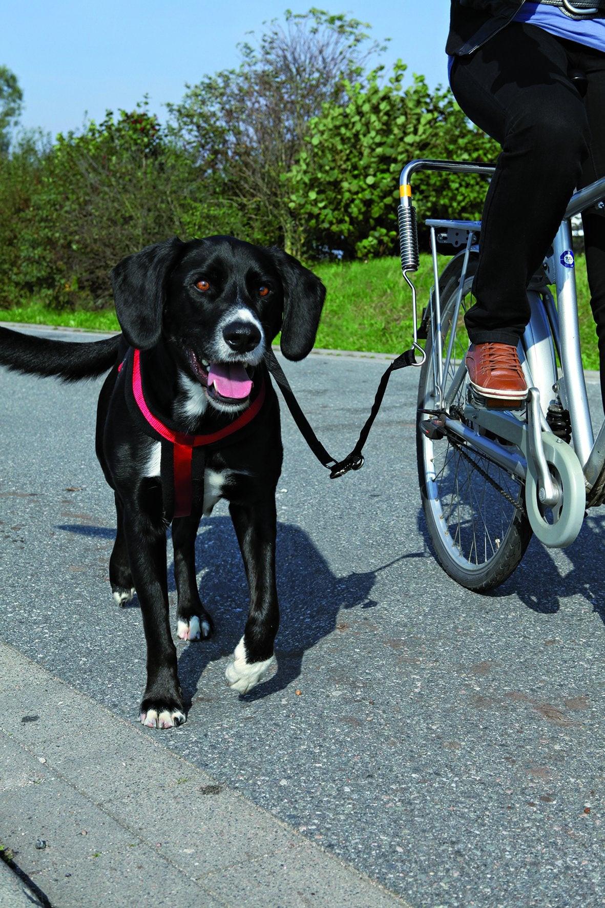 Trixie Biker-Set for large dogs.