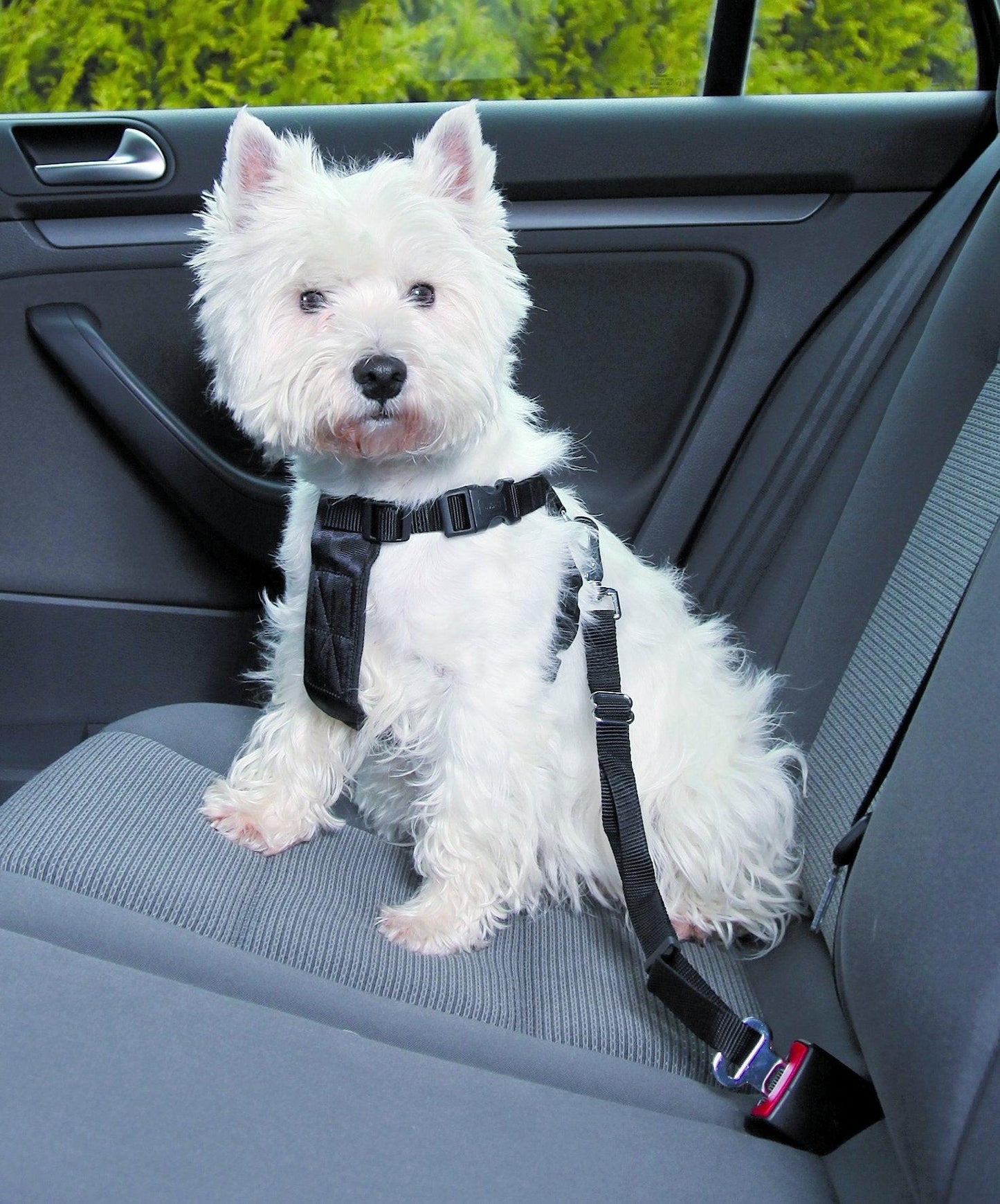 Trixie Car harness, S: 30-60 cm, black.
