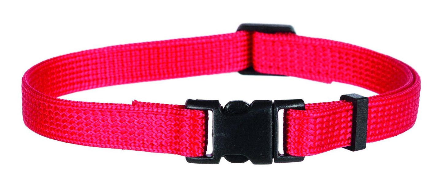 Trixie Junior set of puppy collars, M-L: 22-35 cm/10 mm, black, red, royal blue, apple, papaya, orchid.
