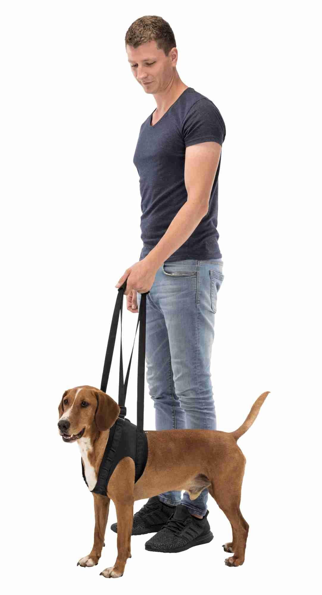 Trixie Walking aid, L-XL: 75-85 cm, black.