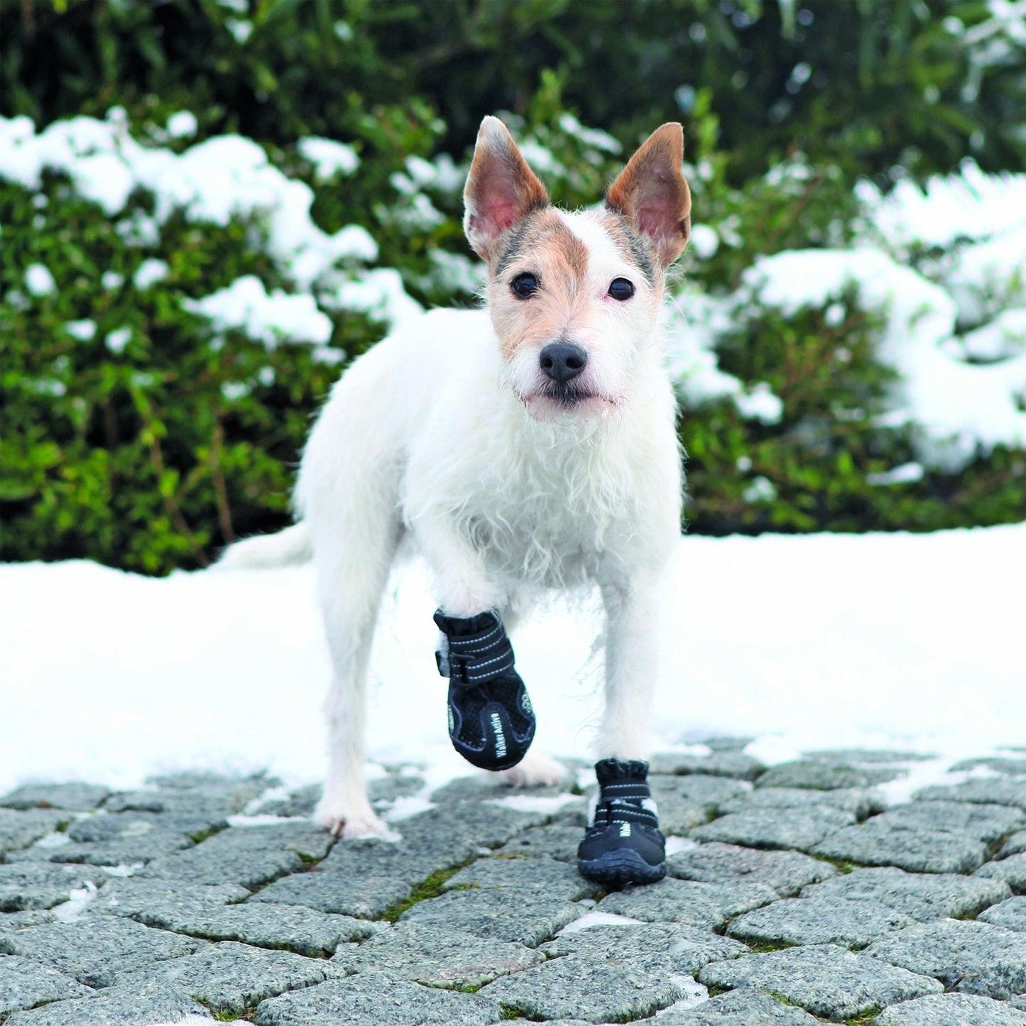 Trixie Walker Active protective boots, XS-S, 2 pcs., black.