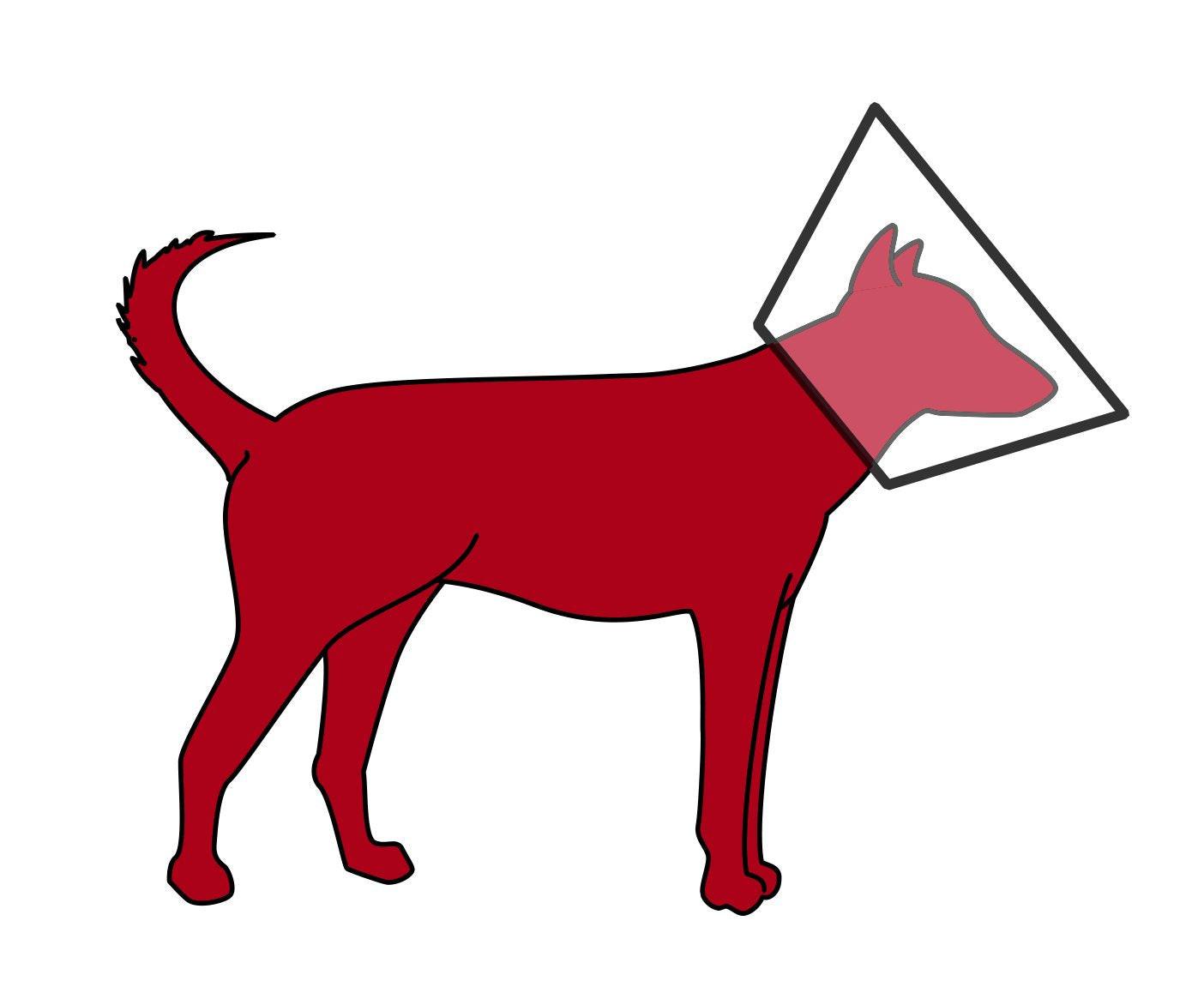 Trixie Protective collar with hook and loop fastener, XS: 18-23 cm/8 cm.