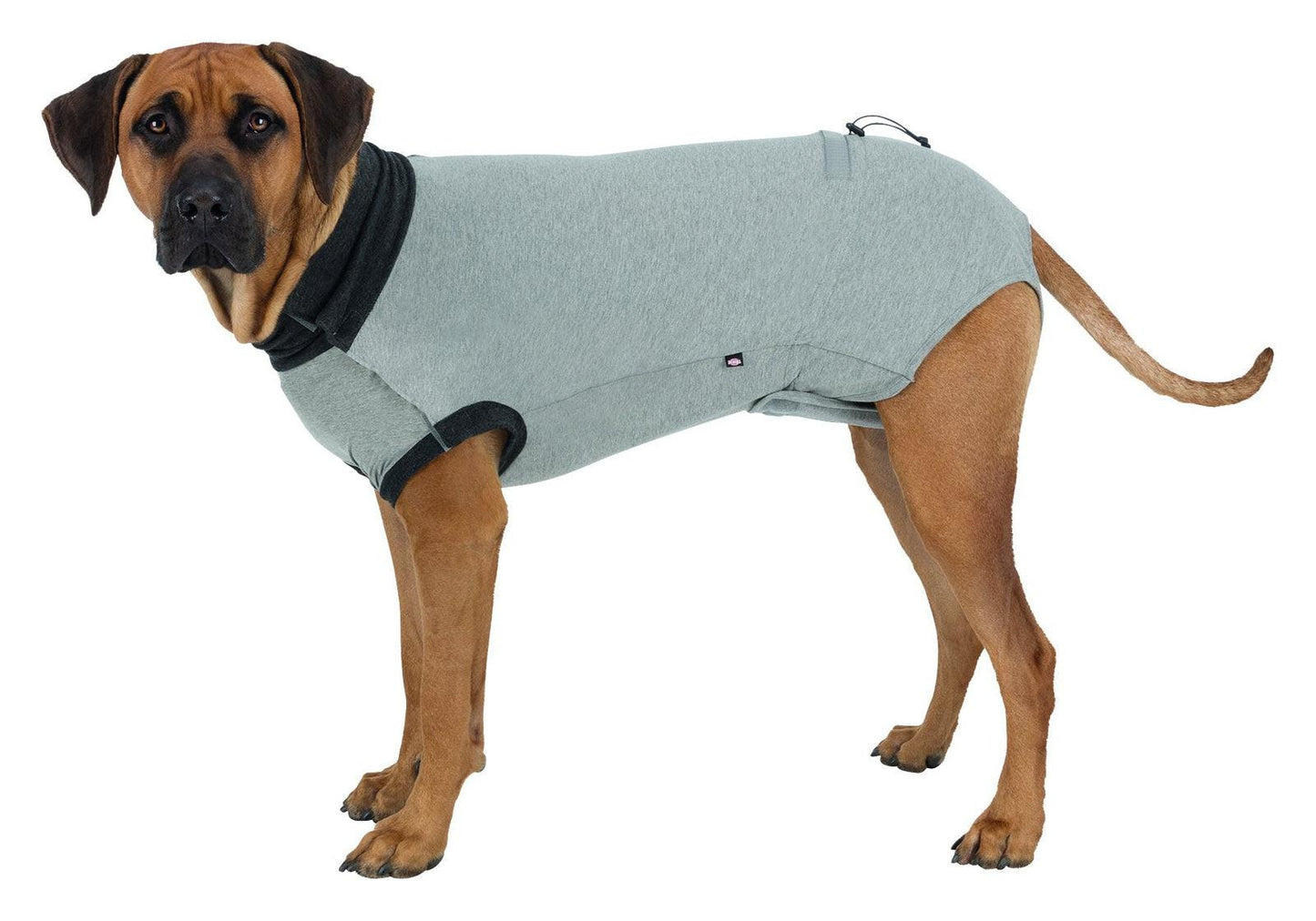 Trixie Protective body, XS-S: 30 cm, grey.