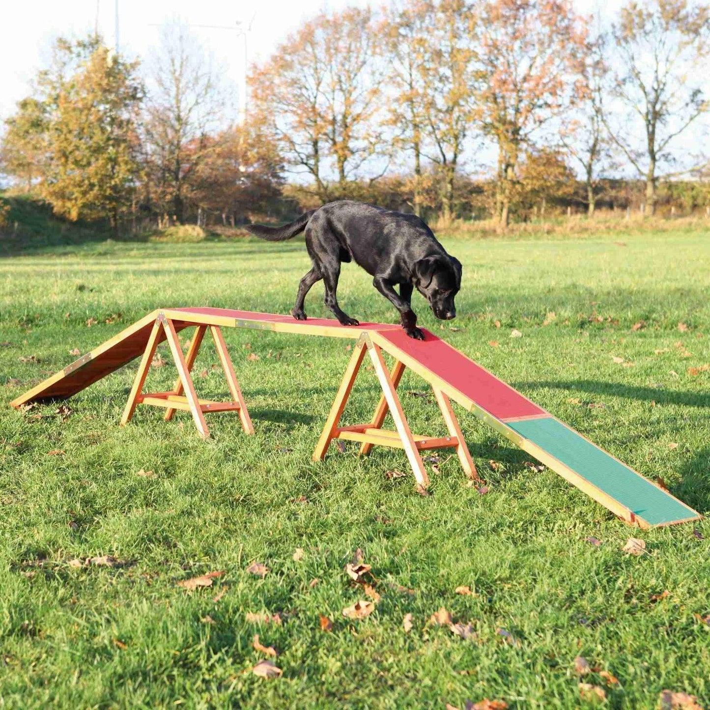 Trixie Dog Activity Agility dogwalk, 456 x 64 x 30 cm.