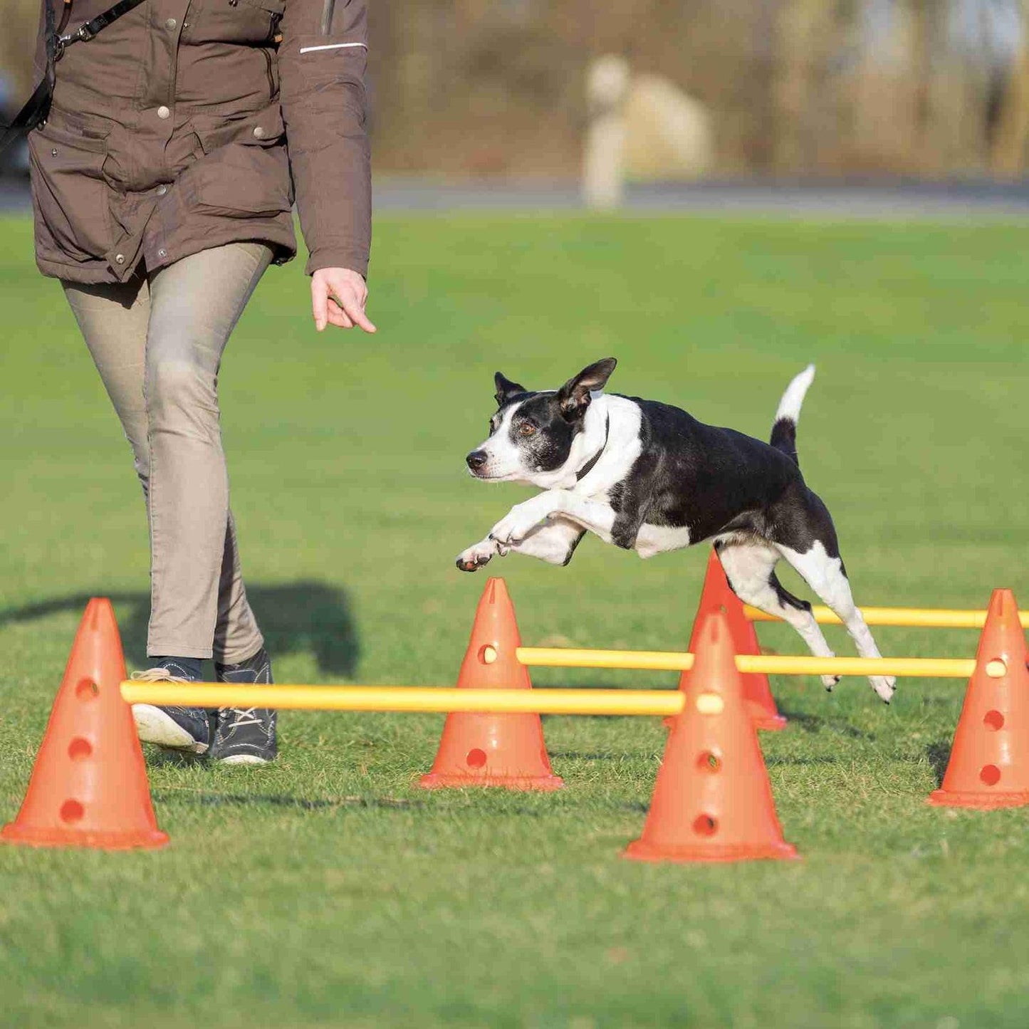 Trixie Dog Activity Obstacles, set 3 pcs., diam. 23 x 30 cm, 78 cm, orange & yellow.
