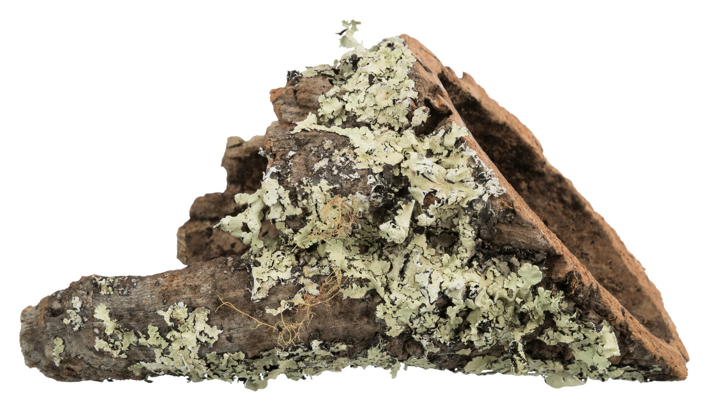 Trixie Cork tunnel, XSƒ??S: up to Ç÷ 6/20 cm