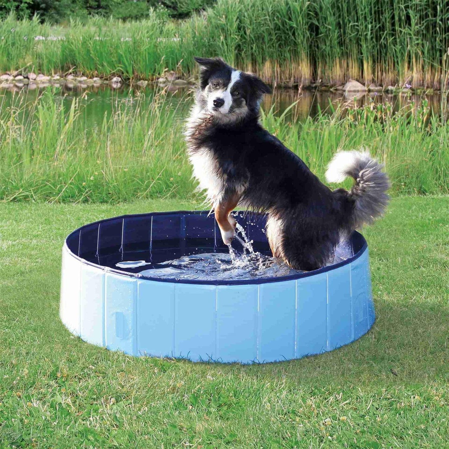 Trixie Dog pool, ?¶÷ 70 ?- 12 cm, light blue/blue.
