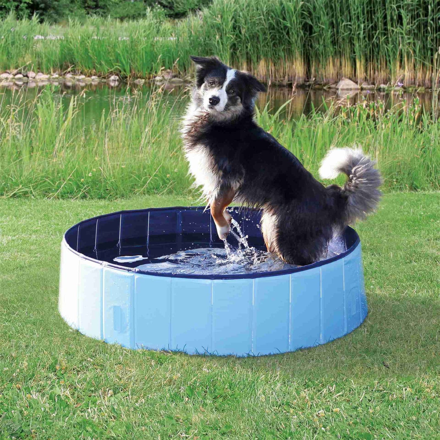 Trixie Dog pool, ?¶÷ 70 ?ƒ?? 12 cm, light blue/blue
