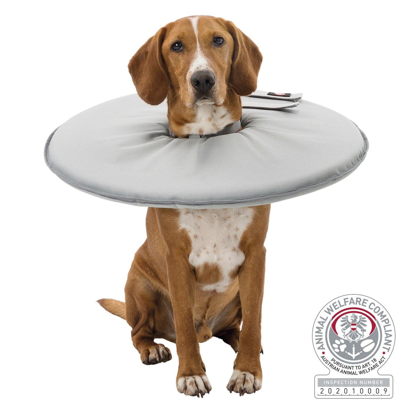 Trixie Protective collar, XL: 60-64 cm/29 cm, grey.