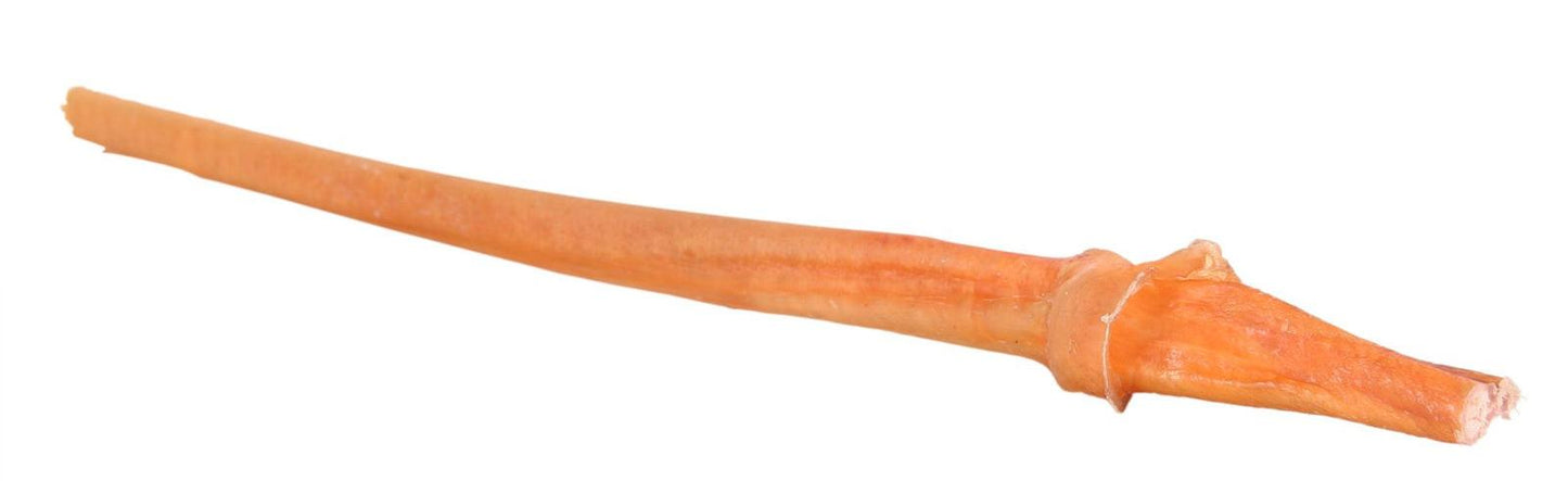 Trixie Bull pizzle, 30 cm.