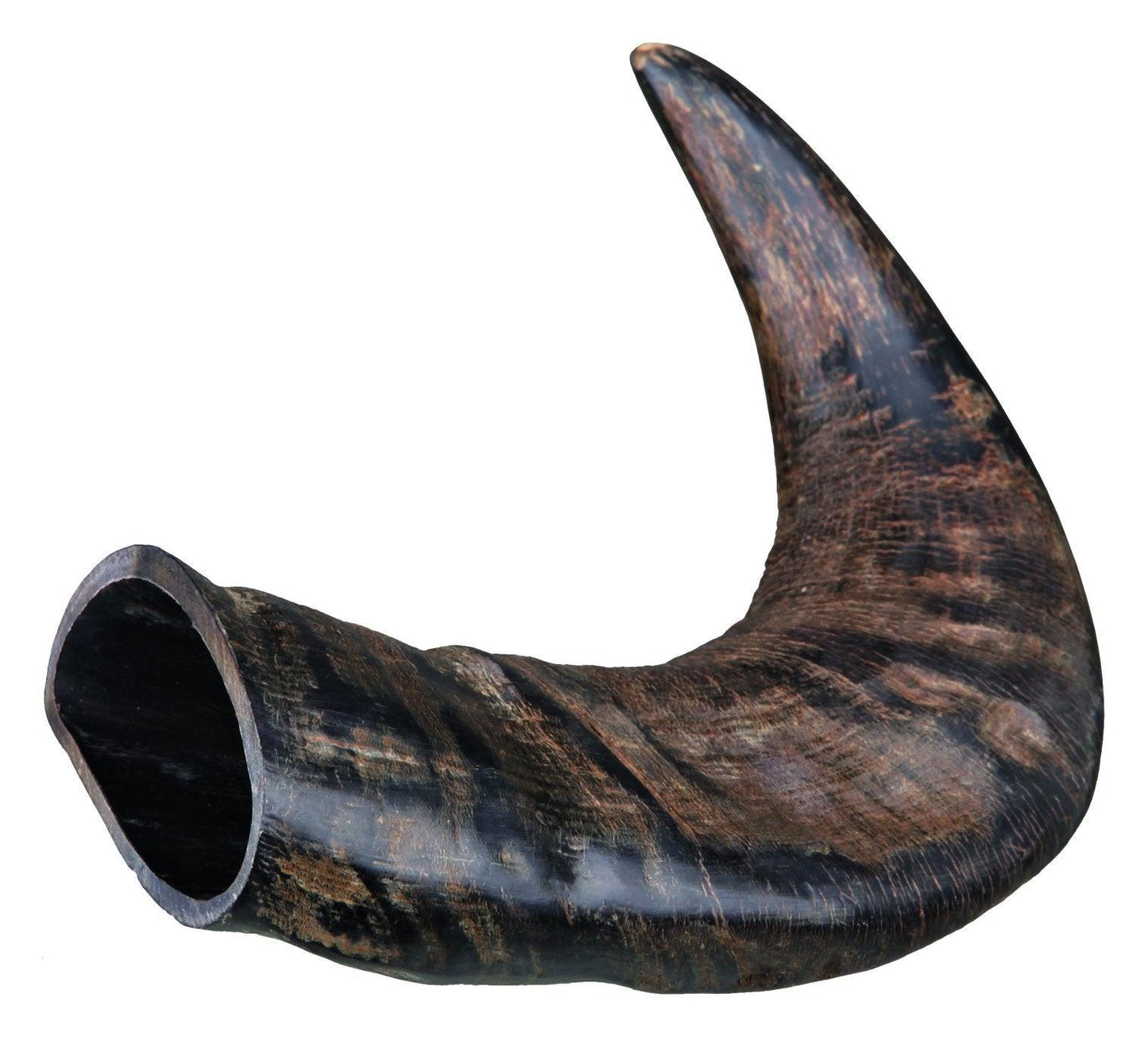 Trixie Genuine buffalo chewing horn, medium.