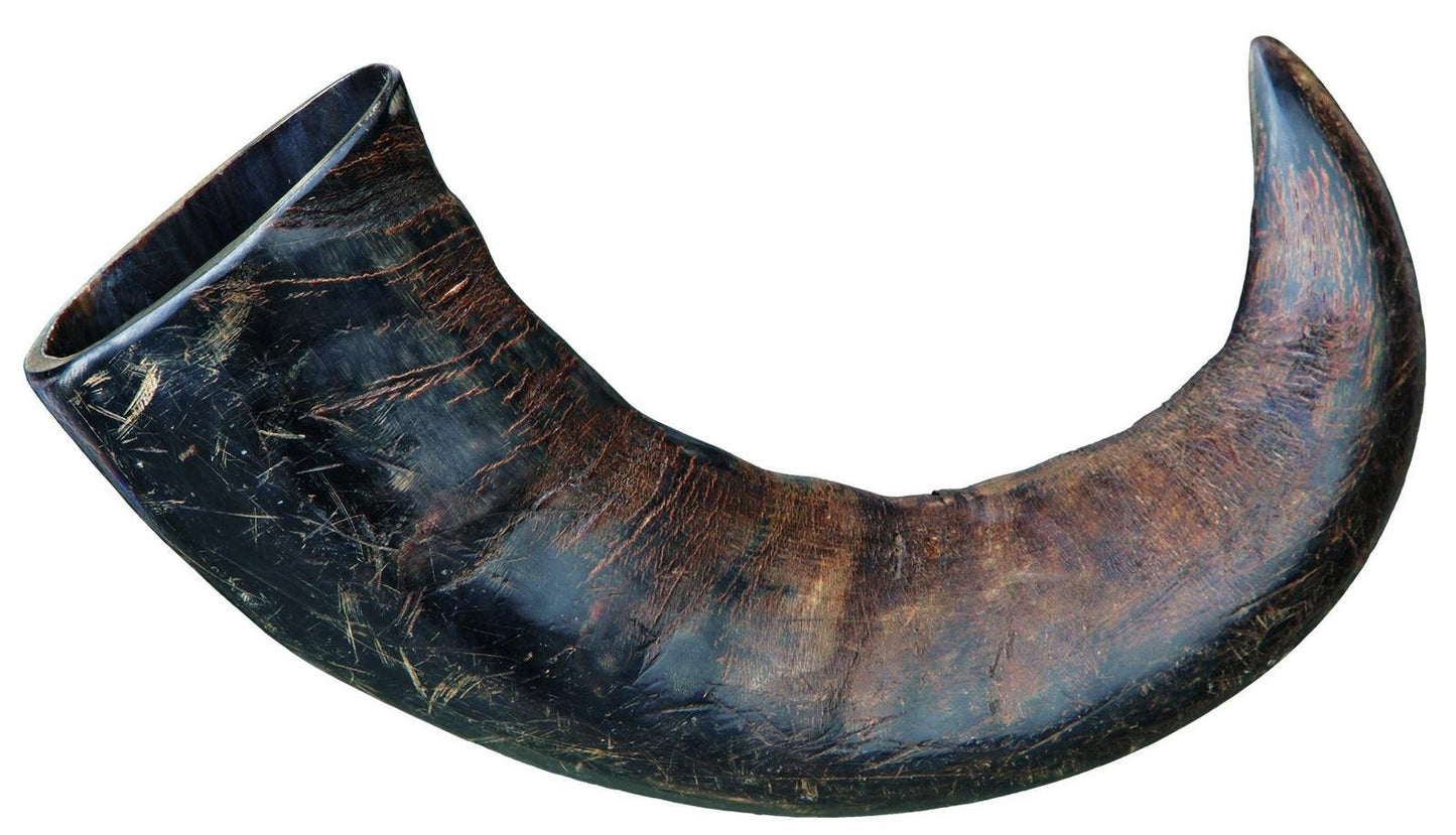 Trixie Genuine buffalo chewing horn, large.