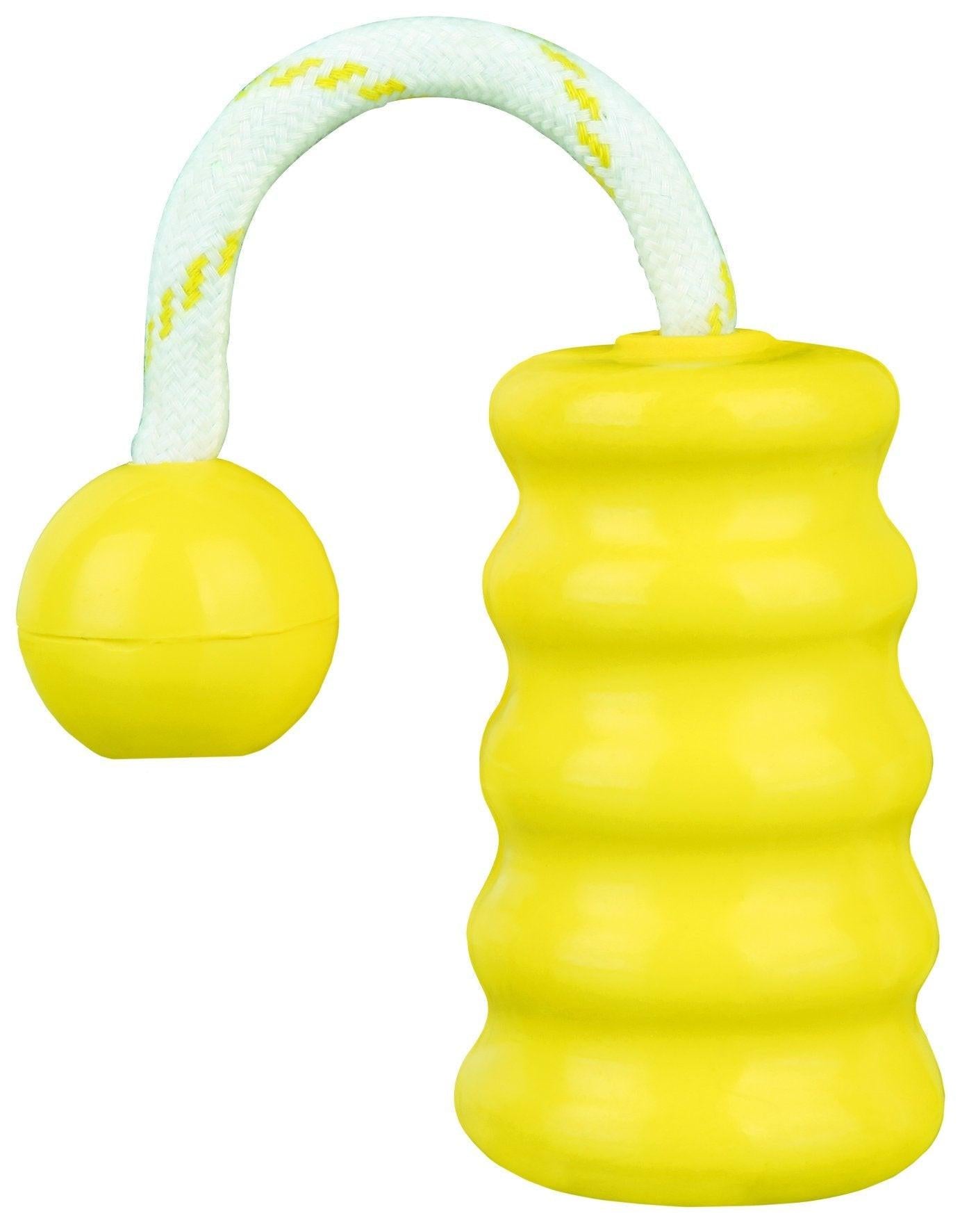 Trixie Dog Activity Mot-Fun, floatable, 9 cm/22 cm.