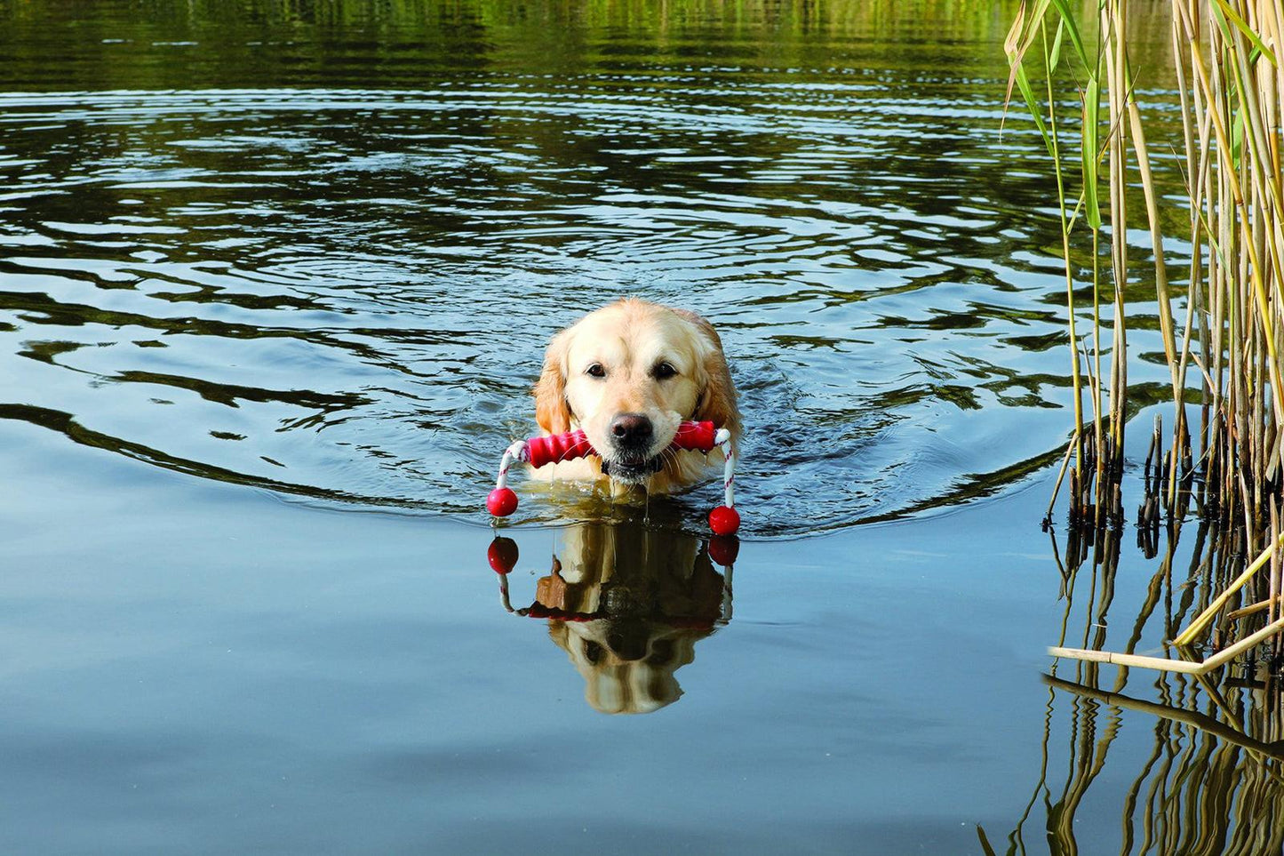 Trixie Dog Activity Mot-Long, floatable, 20 cm/42 cm.