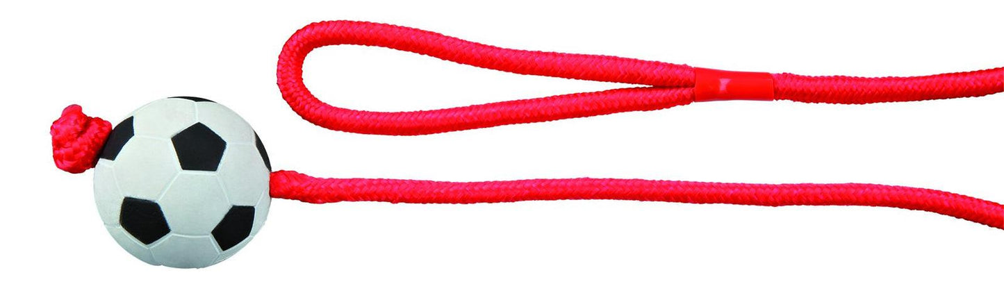 Trixie Football on a rope, foam rubber, diam. 6 cm/1.00 m.
