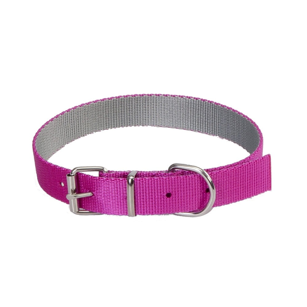 Dingo Energy Silver Collar Pink