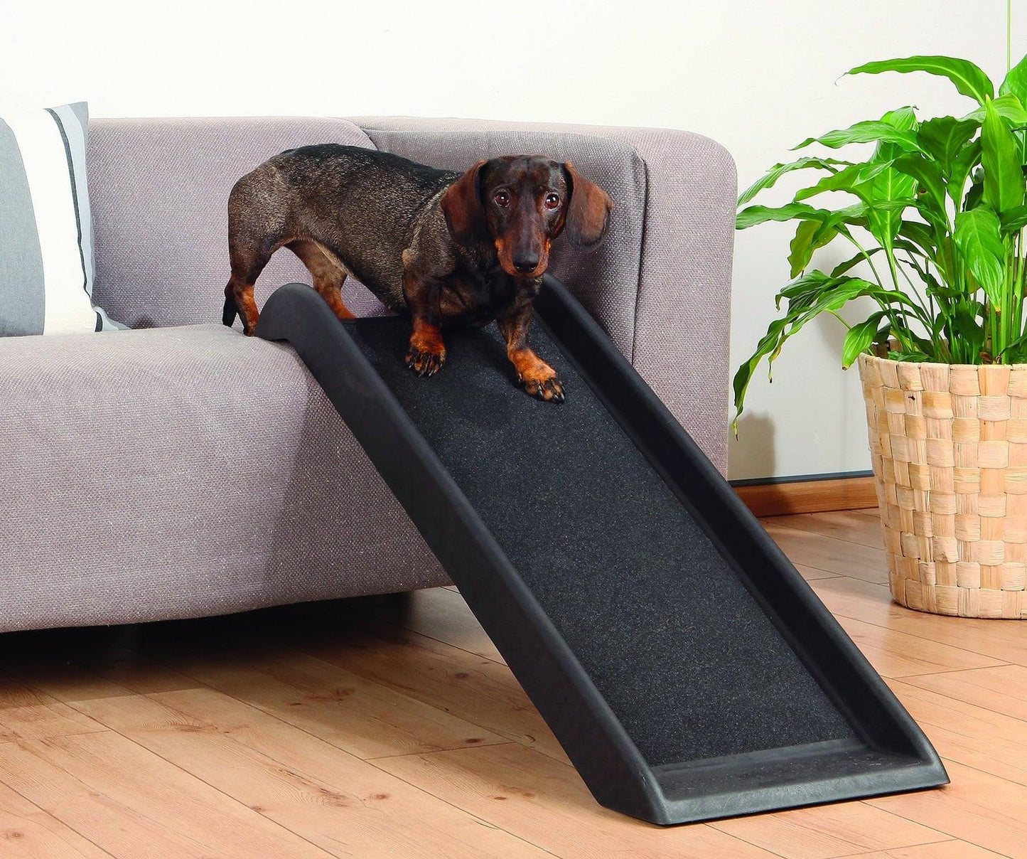 Trixie Petwalk ramp for dogs, 38 x 100 cm.