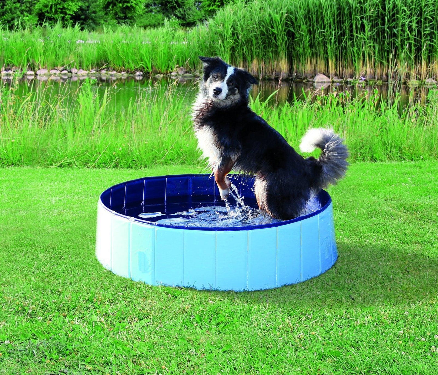 Trixie Dog Pool, diam. 80 x 20 cm, light blue/blue.