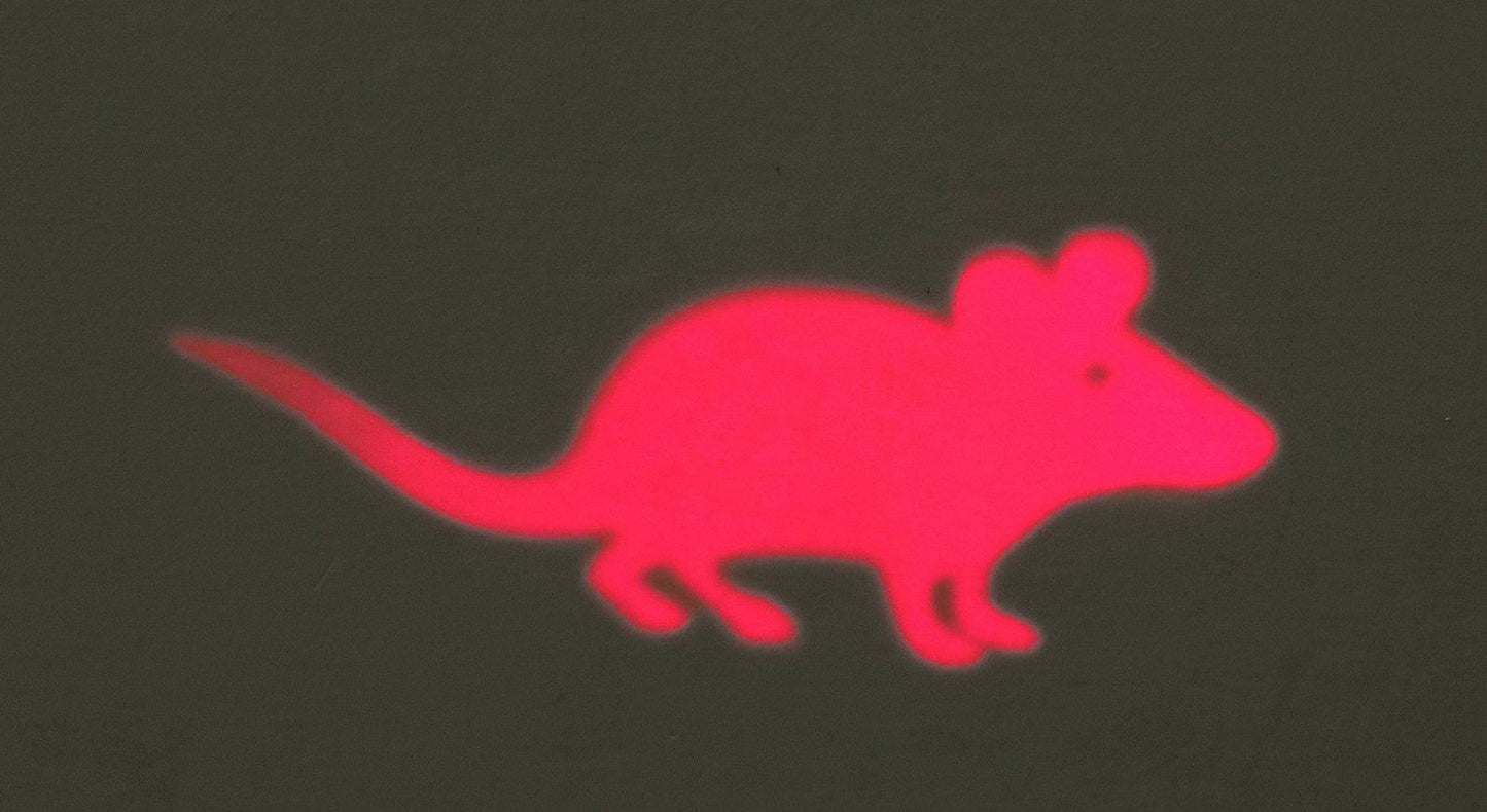Trixie LED Pointer Catch the light, mouse, plastic, 11 cm.