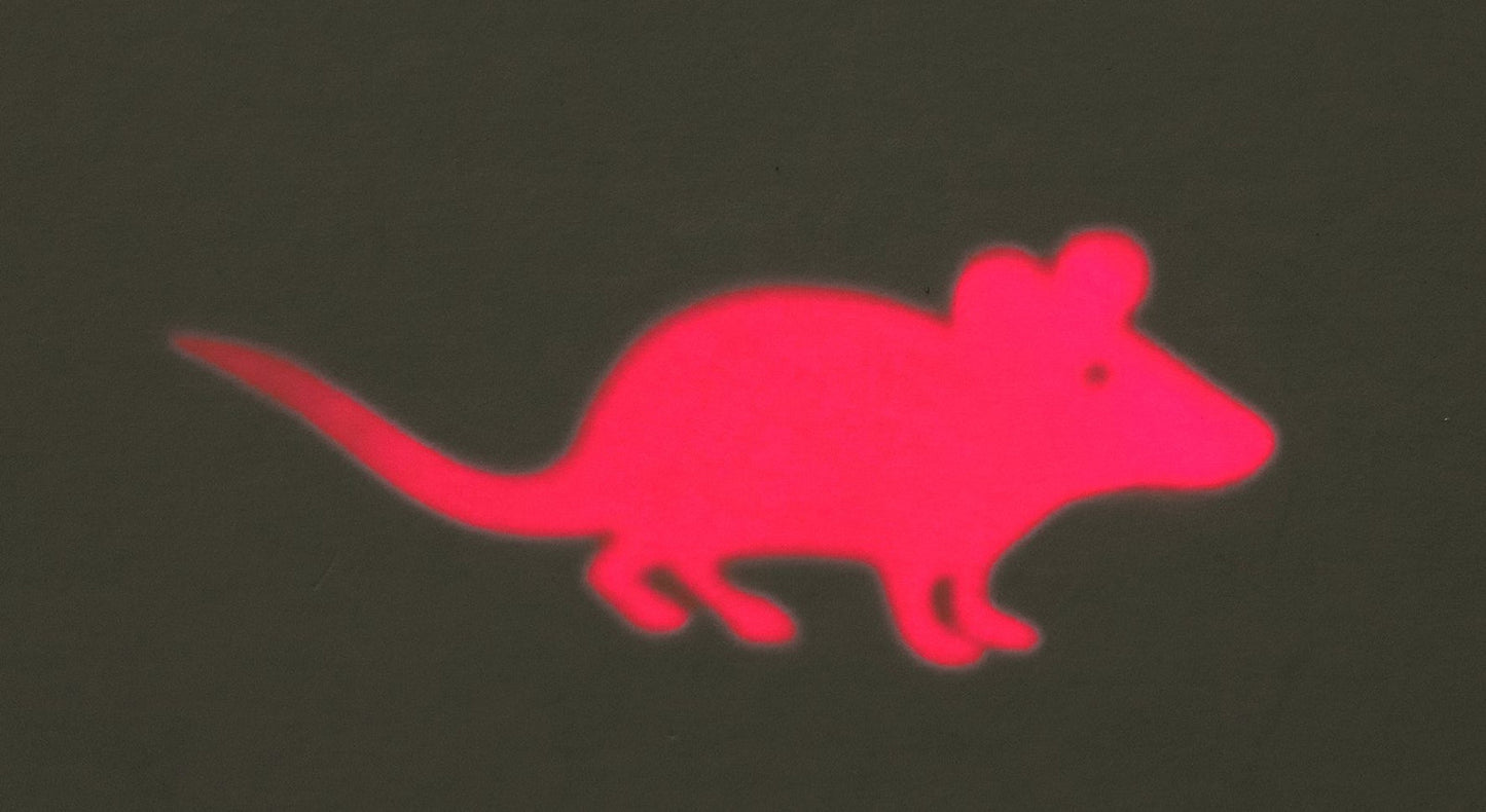 Trixie LED Pointer Catch the light, mouse, plastic, 11 cm