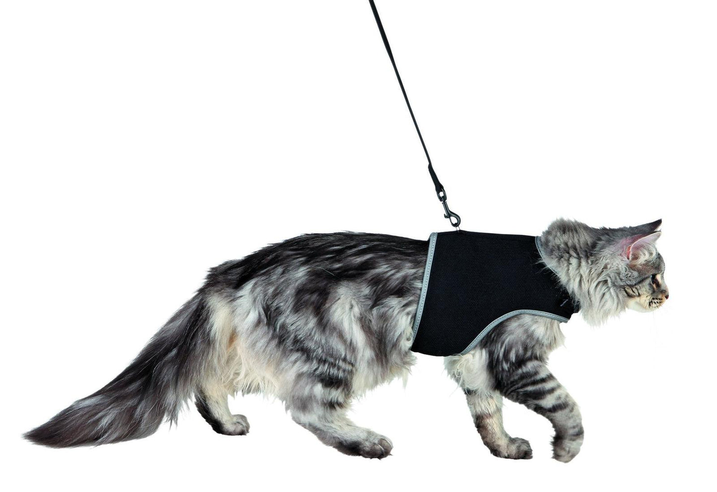 Trixie Soft harness with leash for cats, XL, 36-54 cm, 1.20 m, black.