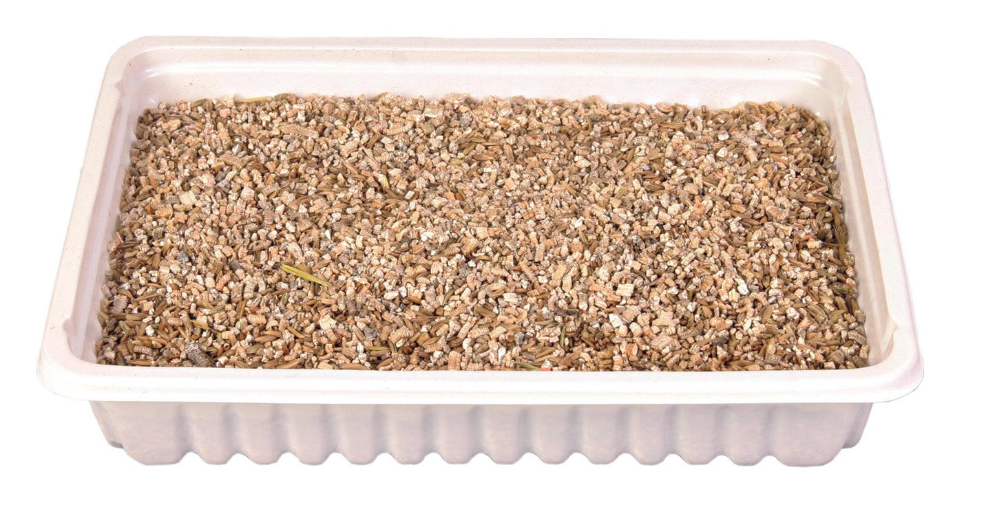 Trixie Cat grass dish, bowl/approx. 100 g.