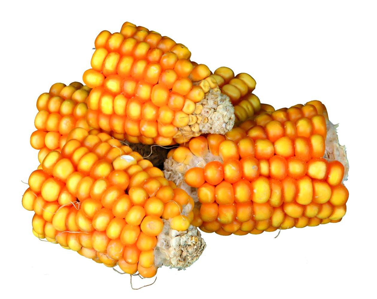 Trixie Pieces of maize cobs, 300 g.
