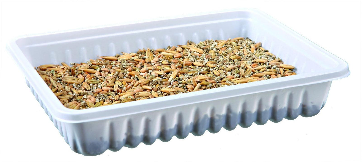 Trixie Small animal grass dish, bowl/approx. 100 g.