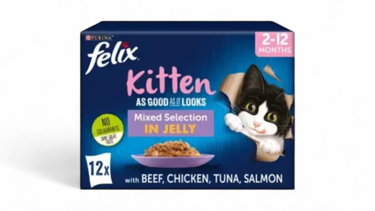 FELIX As Good As It Looks Kitten Mixed Selection in Jelly – 12 Pack