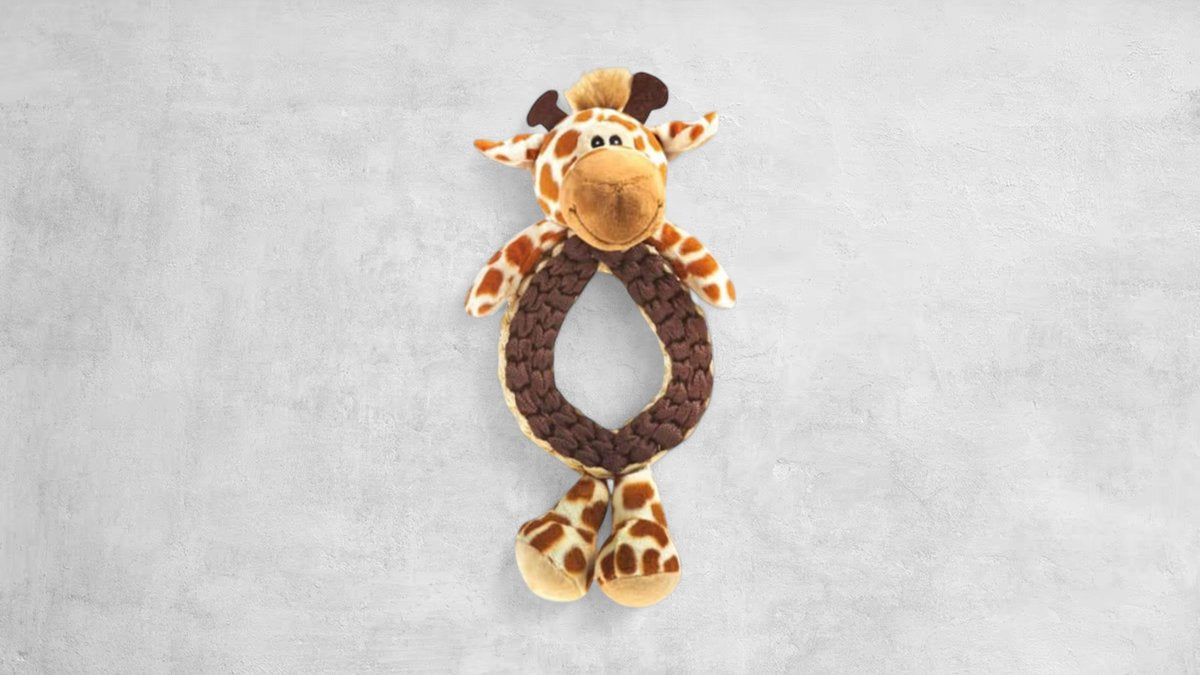 Flairpet Push & Pull Collection Giraffe 35cm