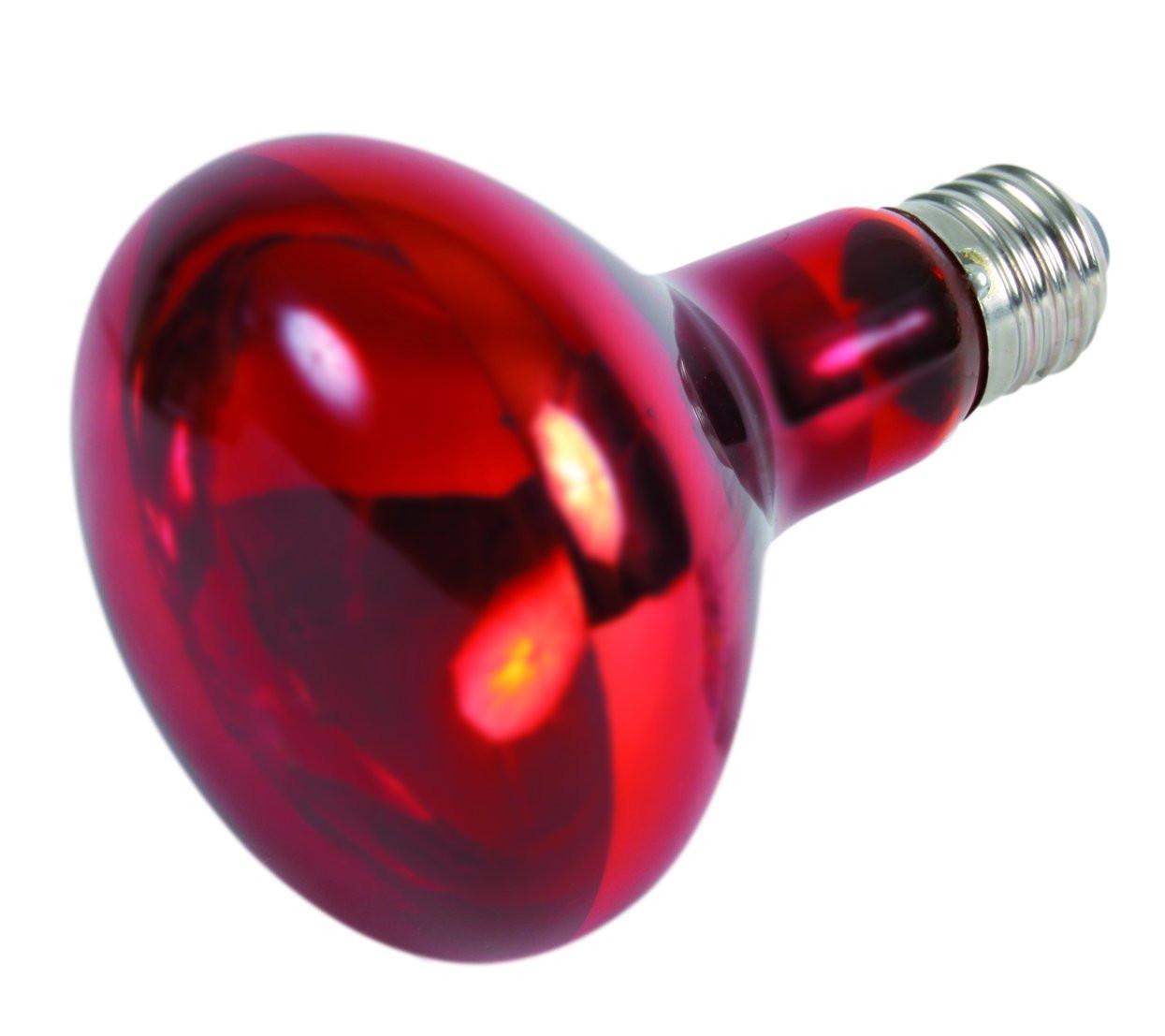 Trixie Infrared heat spot-lamp, diam. 95 x 130 mm, 150 W.