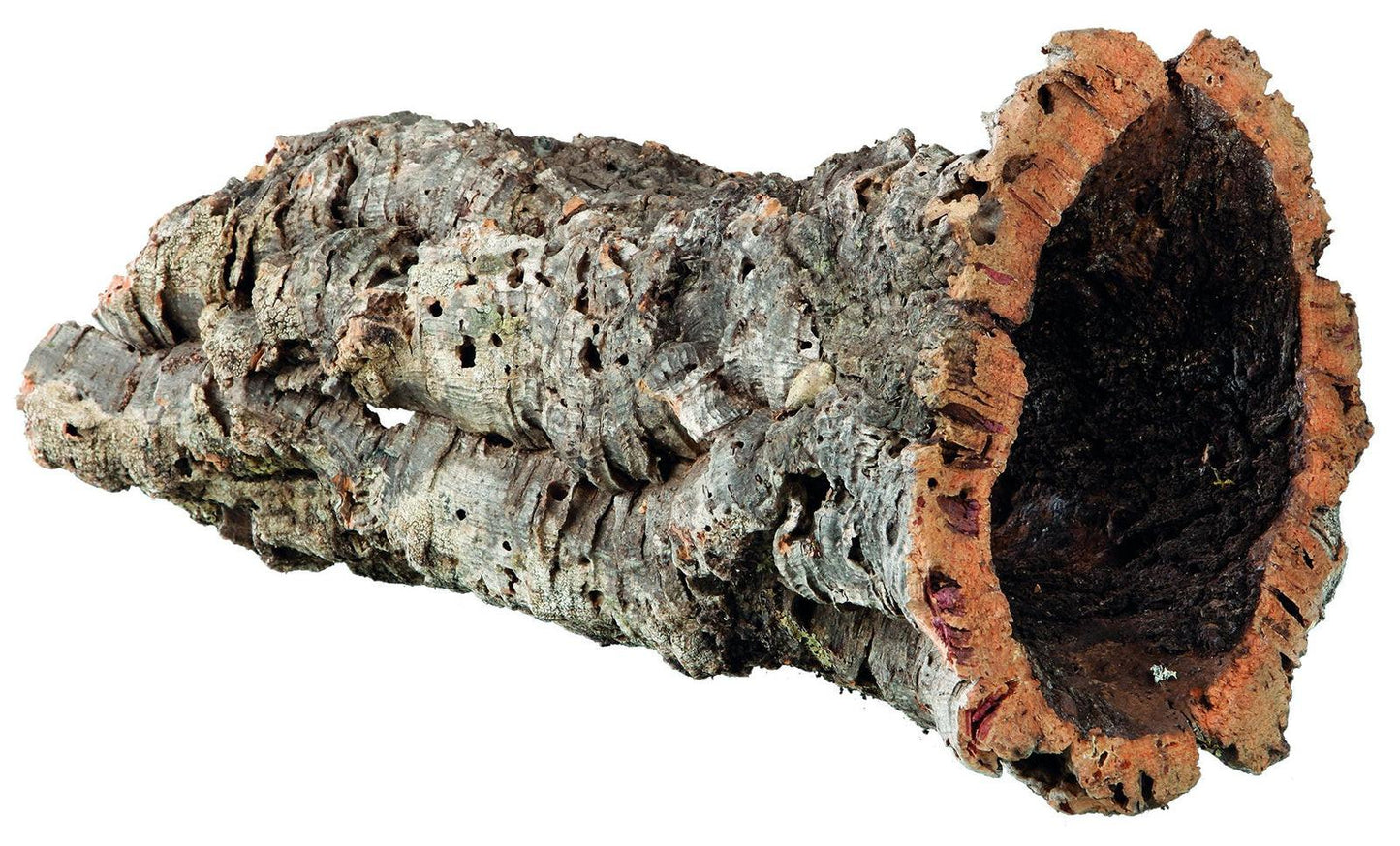 Trixie 5 cork tunnels, L: up to diam. 19 cm/55 cm.