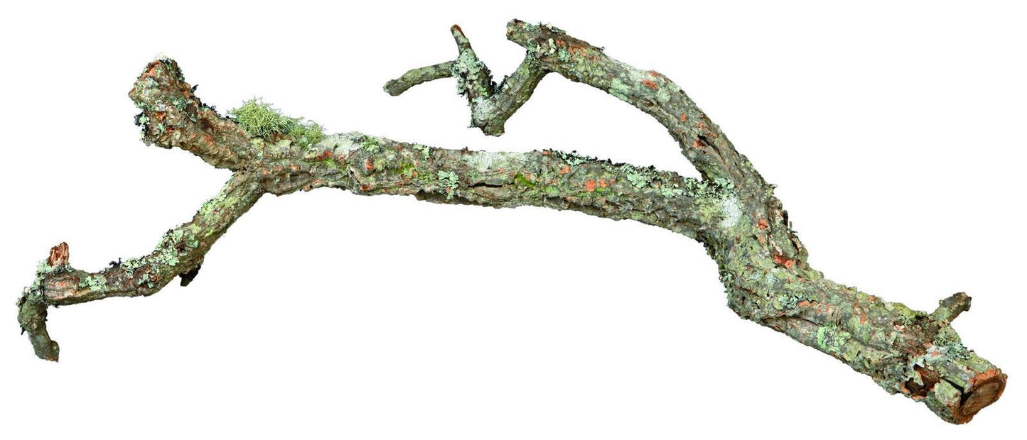 Trixie Tronchos, mixed cork-branches, natural, 15 kg.