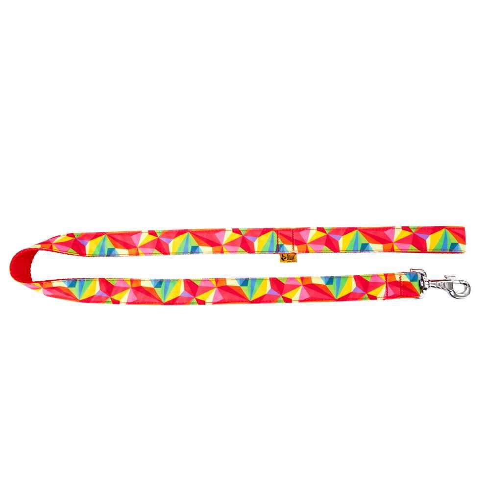 Dog America Colourful Leash Colorado.