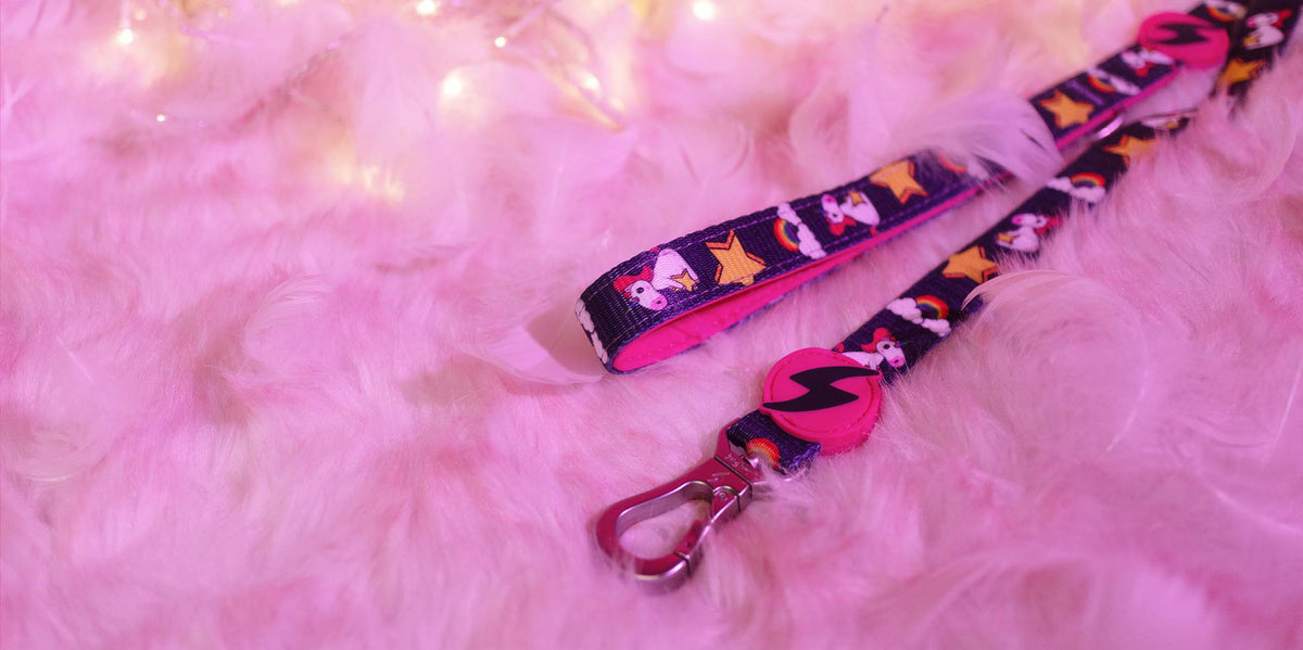 Dashi Unicorn Leash — product view 4