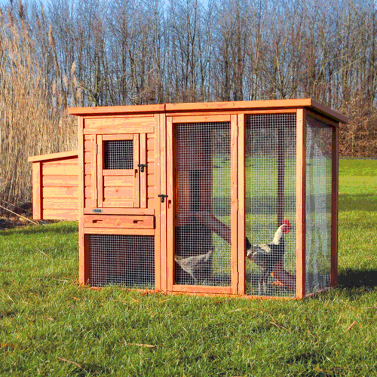 Trixie natura chicken coop, 170 x 105 x 77 cm