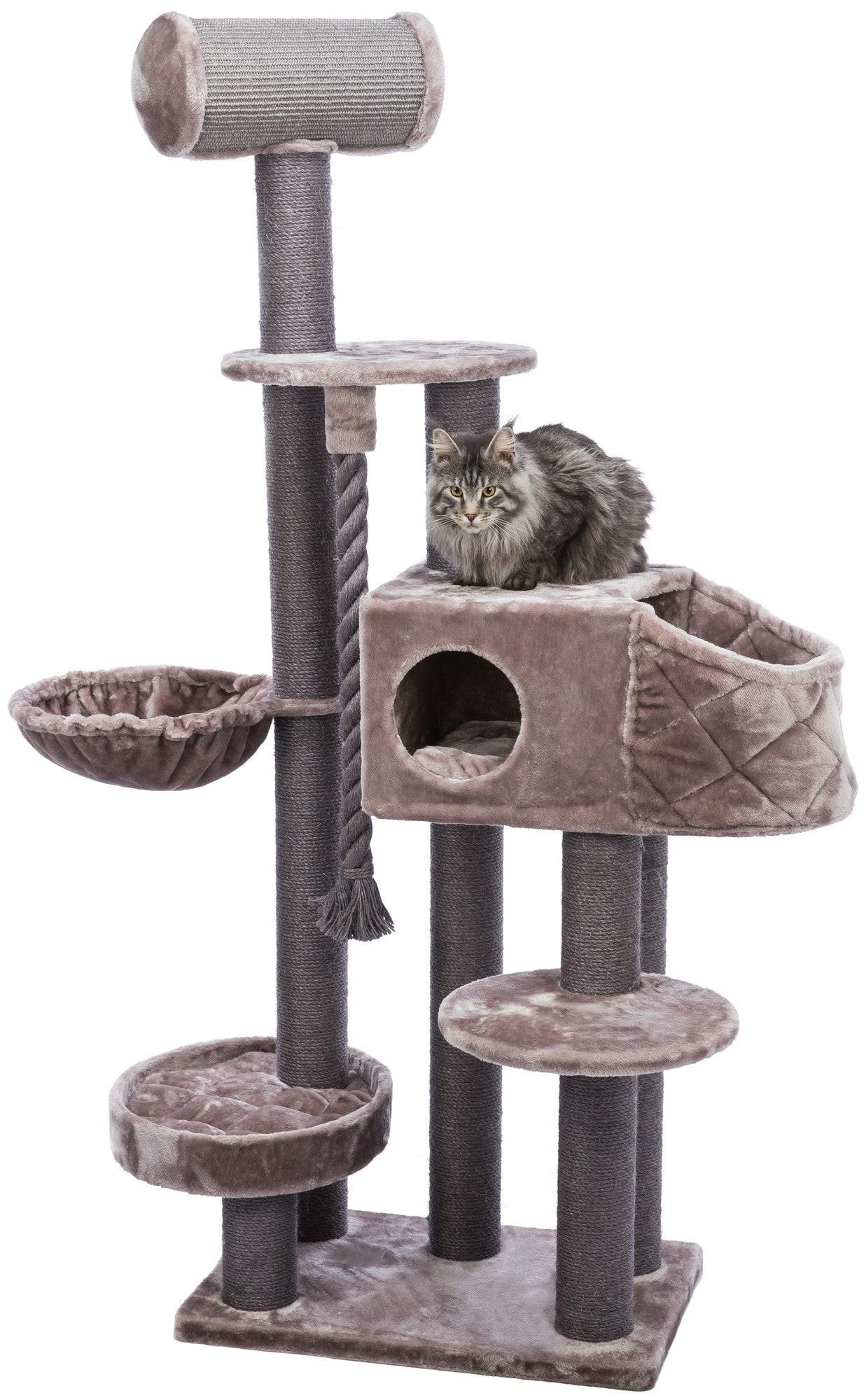Trixie Andres scratching post, XXL 70 X 190 X 48 cm, cappuccino.