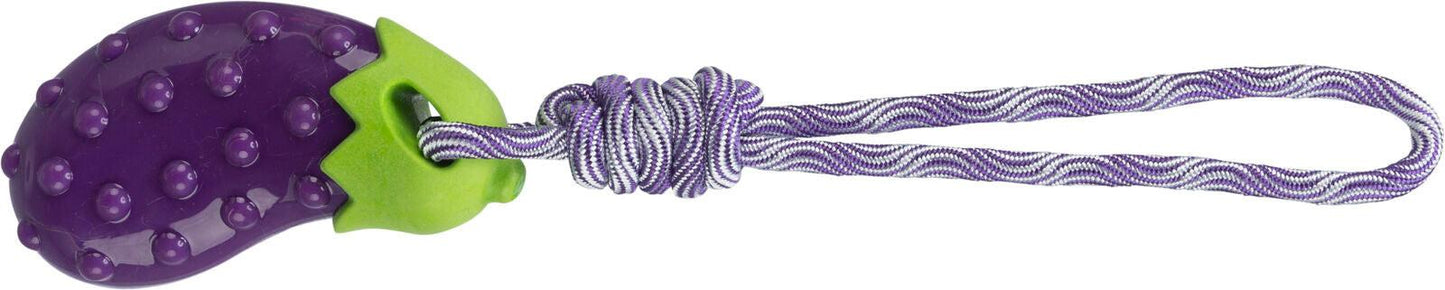 Trixie Aubergine on a rope, TPR, 13 cm/34 cm.