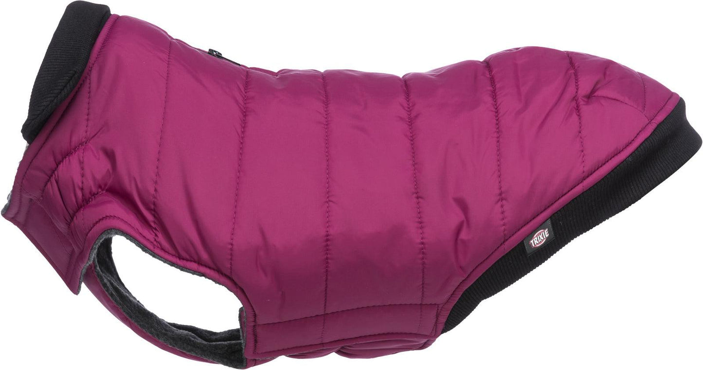 Trixie Arlay coat, XXS: 21 cm, berry.