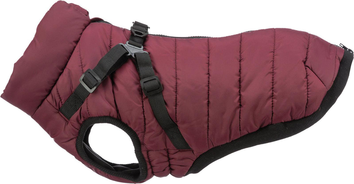 Trixie Pirou winter harness coat, S: 36 cm, sangria.