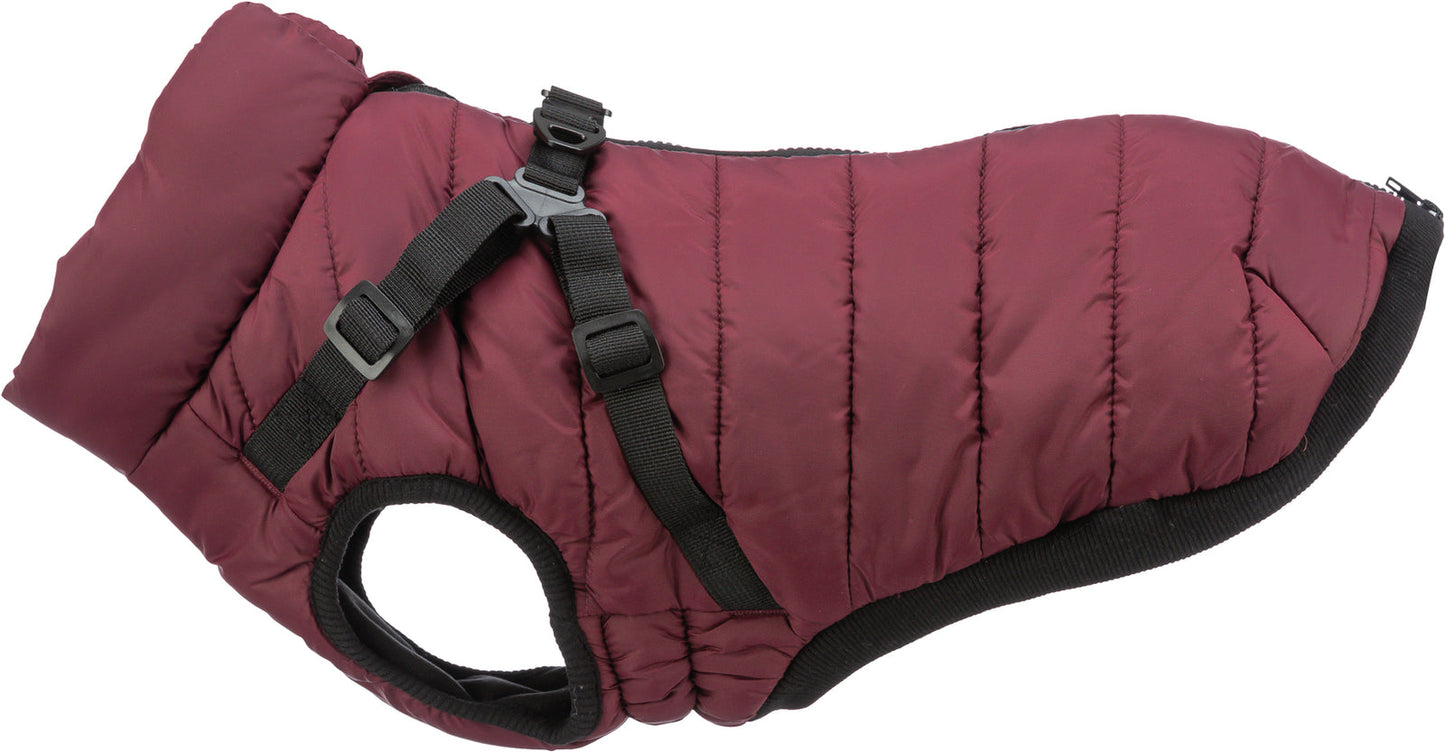 Trixie Pirou winter harness coat, XXS: 24 cm, sangria