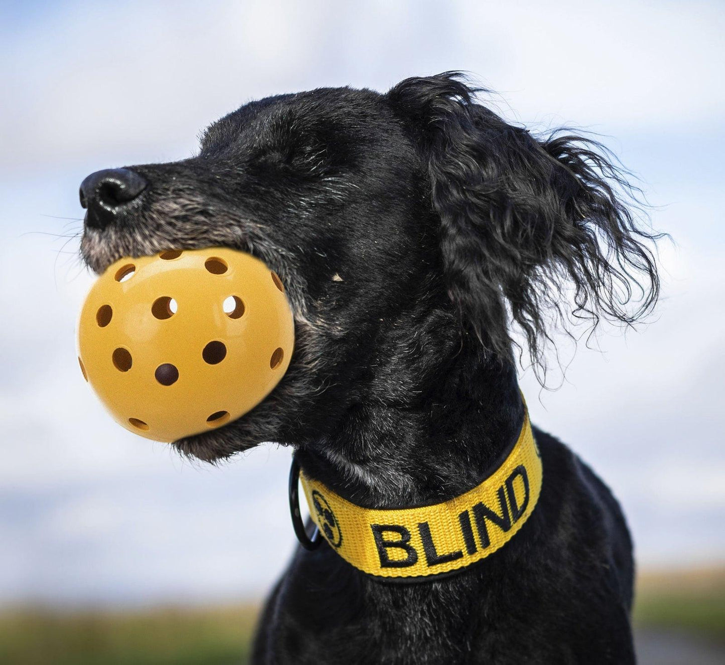 Trixie Holey ball with bell, natural rubber, x· 7 cm.