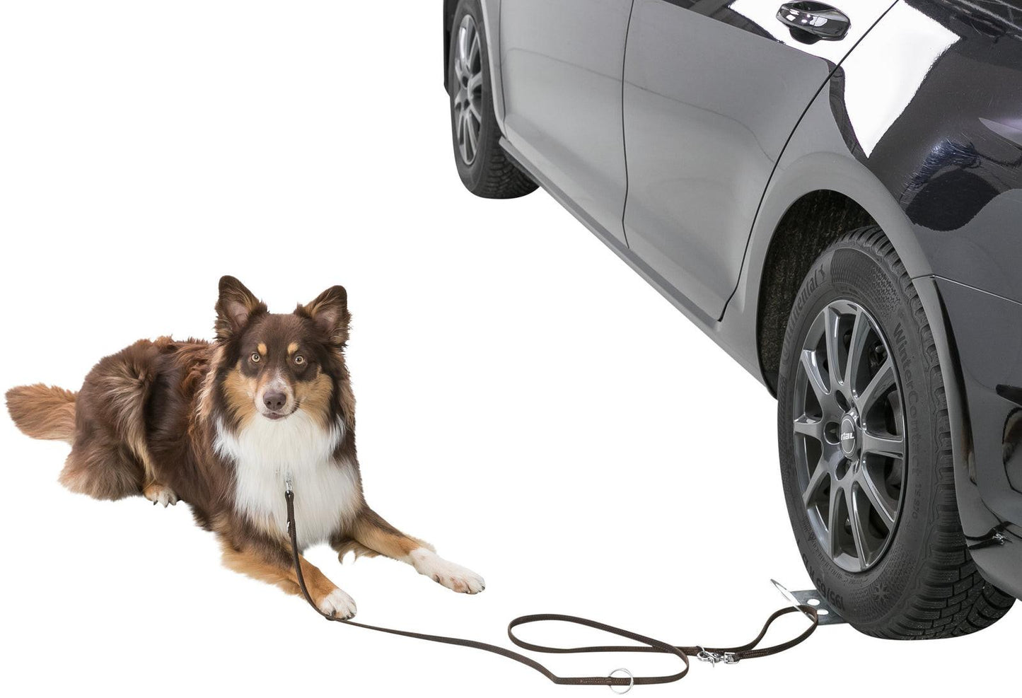 Trixie Drive-on plate for dog leash, 12 X 31 cm,.