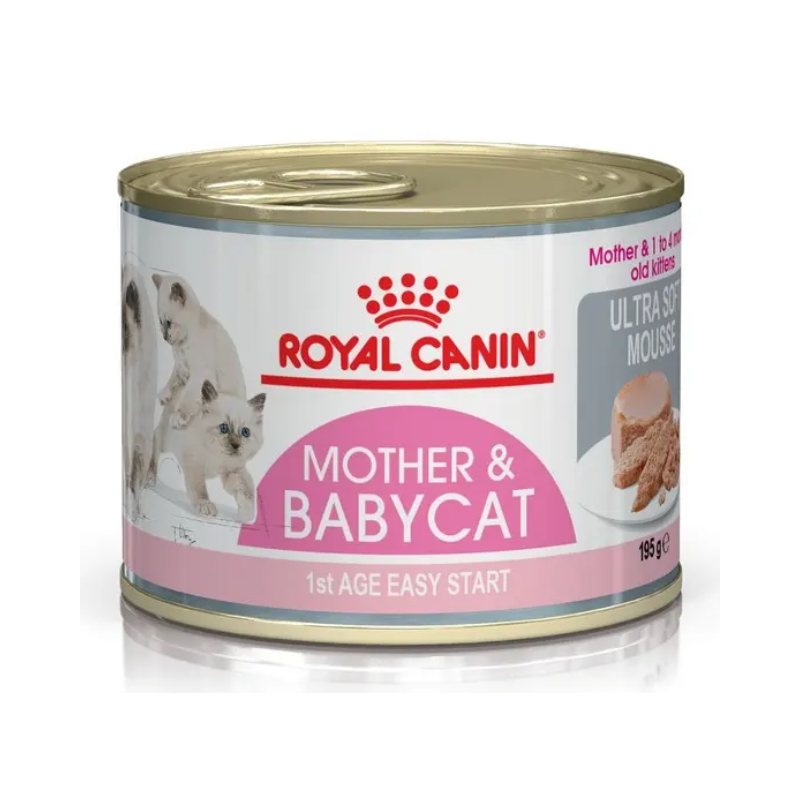 Royal canin kitten fashion mousse