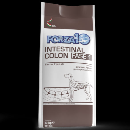 Forza 10 Intestinal Colon Phase One