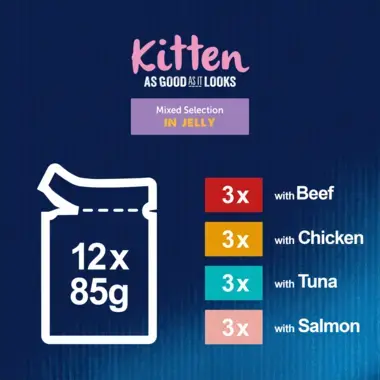 Felix As Good As It Looks Kitten Mixed Selection in Jelly Wet Cat Food x12