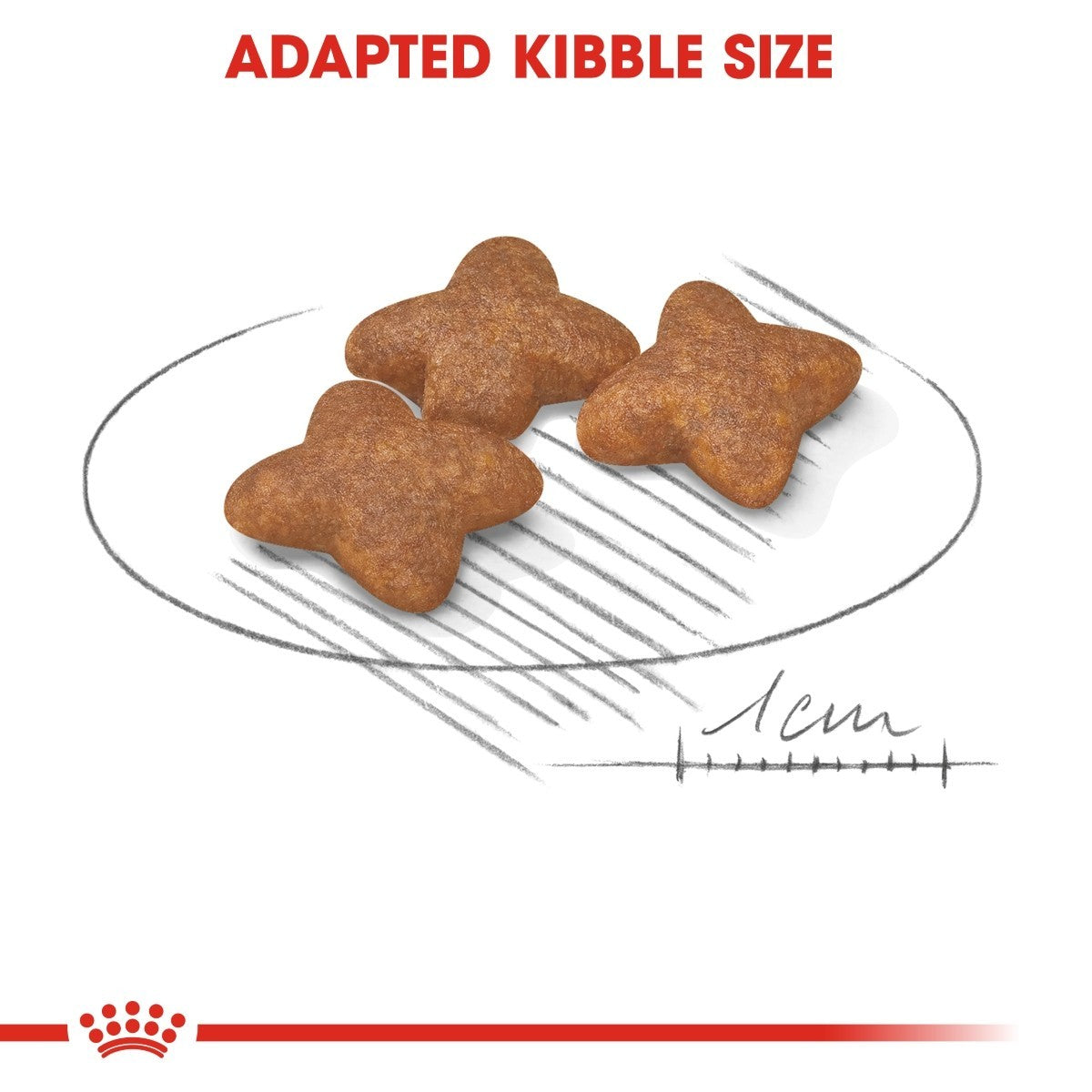 Royal Canin Mini Adult Dry Food - Targa Pet Shop