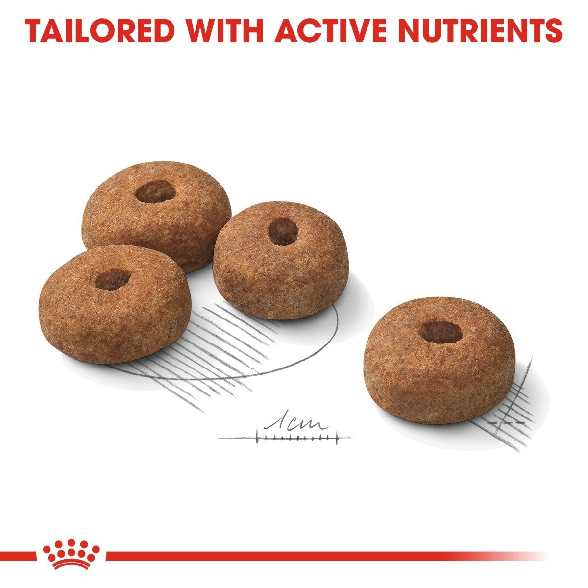 Royal Canin Maxi Sterilised Care Dry Dog Food - Targa Pet Shop